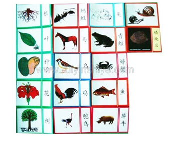 科学文化教学—动物卡片（87）
