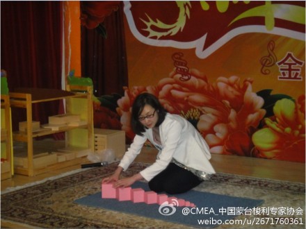 陈蕾：中国蒙台梭利专家协会（CMEA）高级讲师